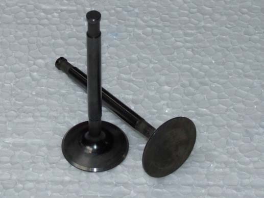 Inlet valve (large) Inlet valve (large)