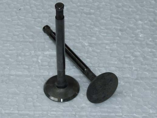 Exhaust valve (large)