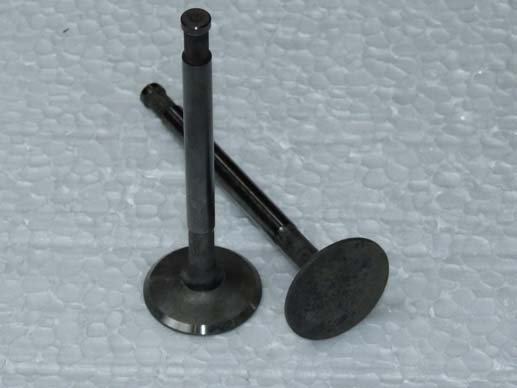 Exhaust valve (large) Exhaust valve (large)